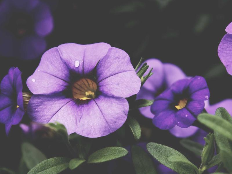 sudoku ios app screenshot 3